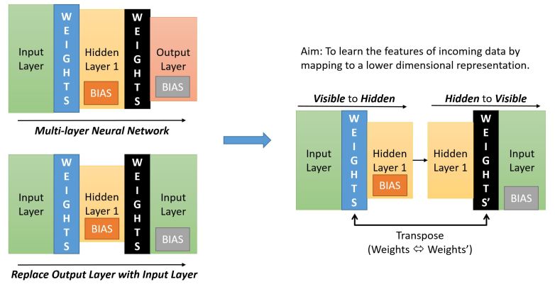 Contrastive Divergence Sampling